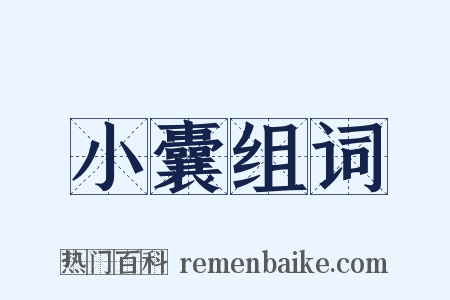 小囊组词是什么意思的图片